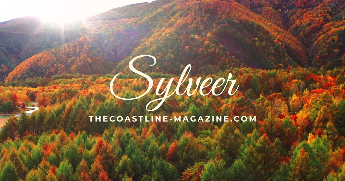 Sylveer: Exploring the Legacy of ‘Sylvester’